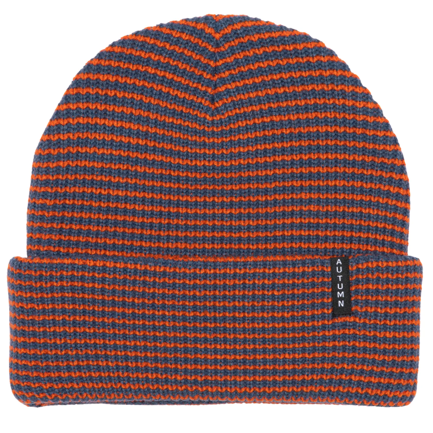 Autumn Stripe Beanie 2024