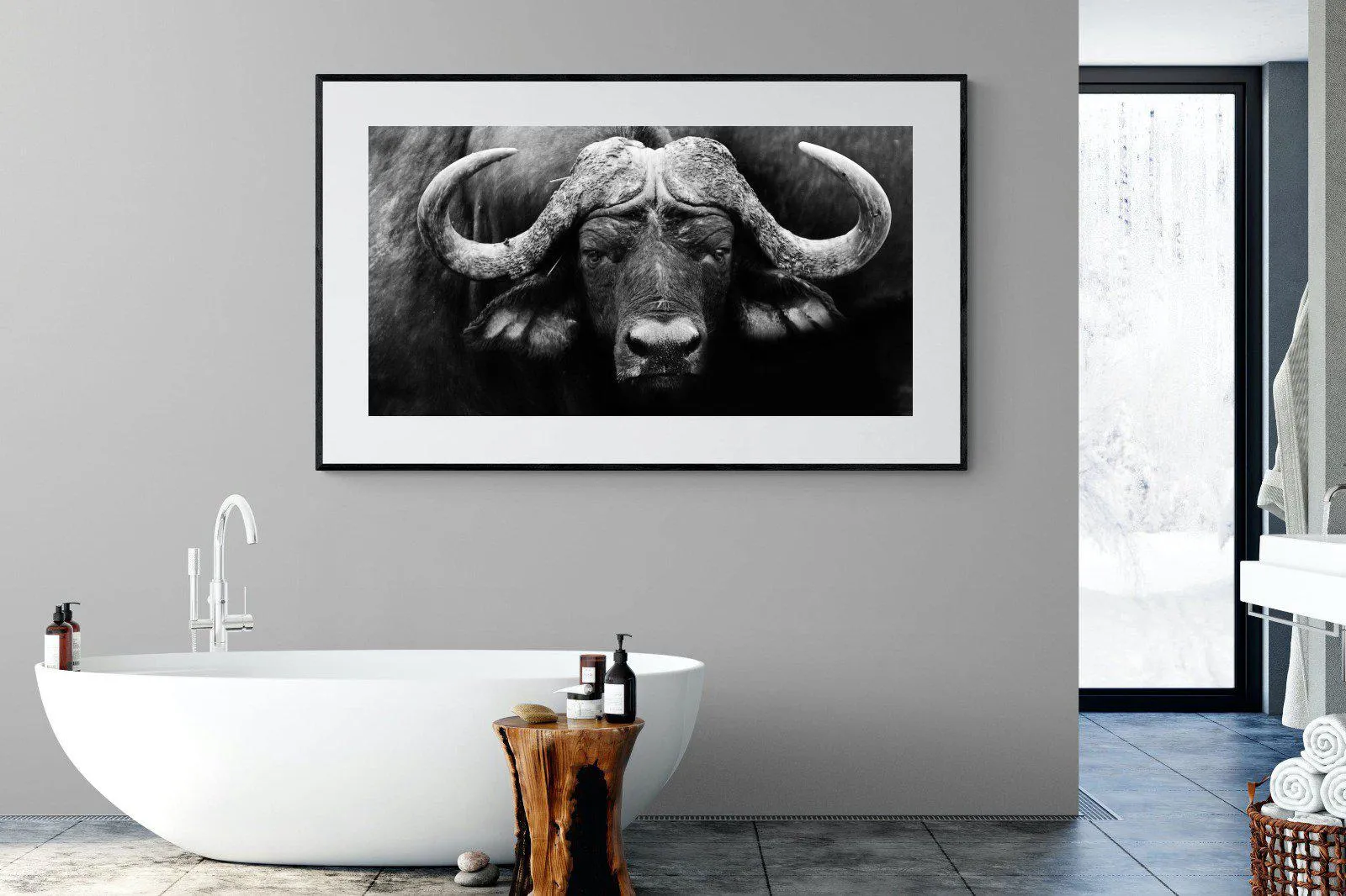 Cape Buffalo