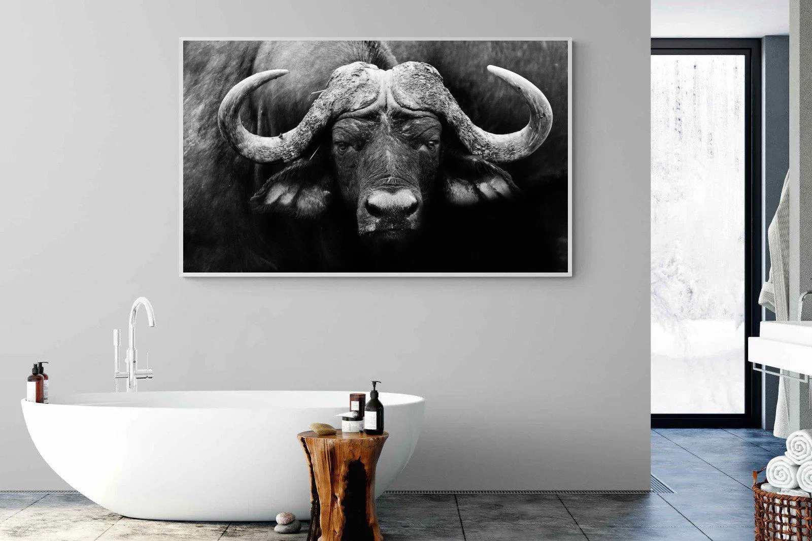 Cape Buffalo