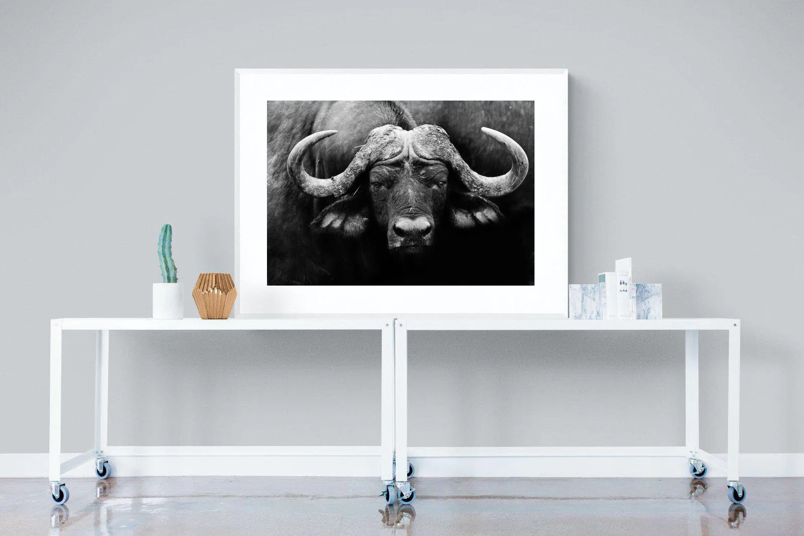 Cape Buffalo