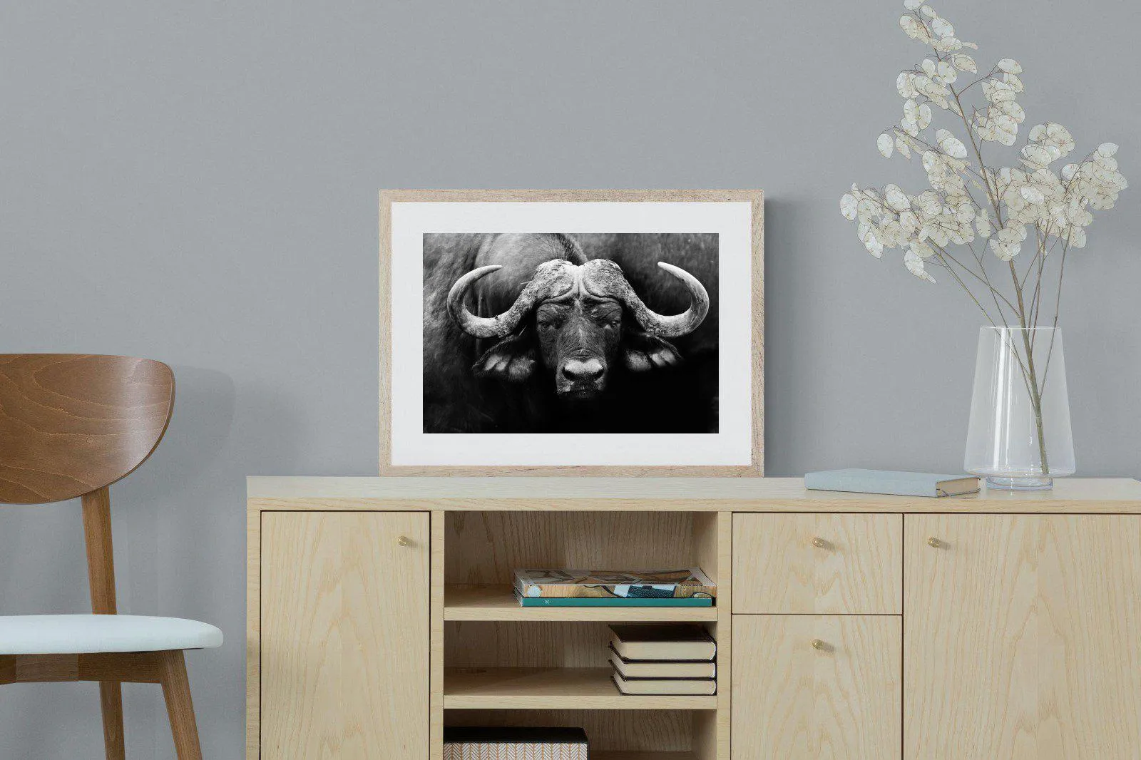 Cape Buffalo