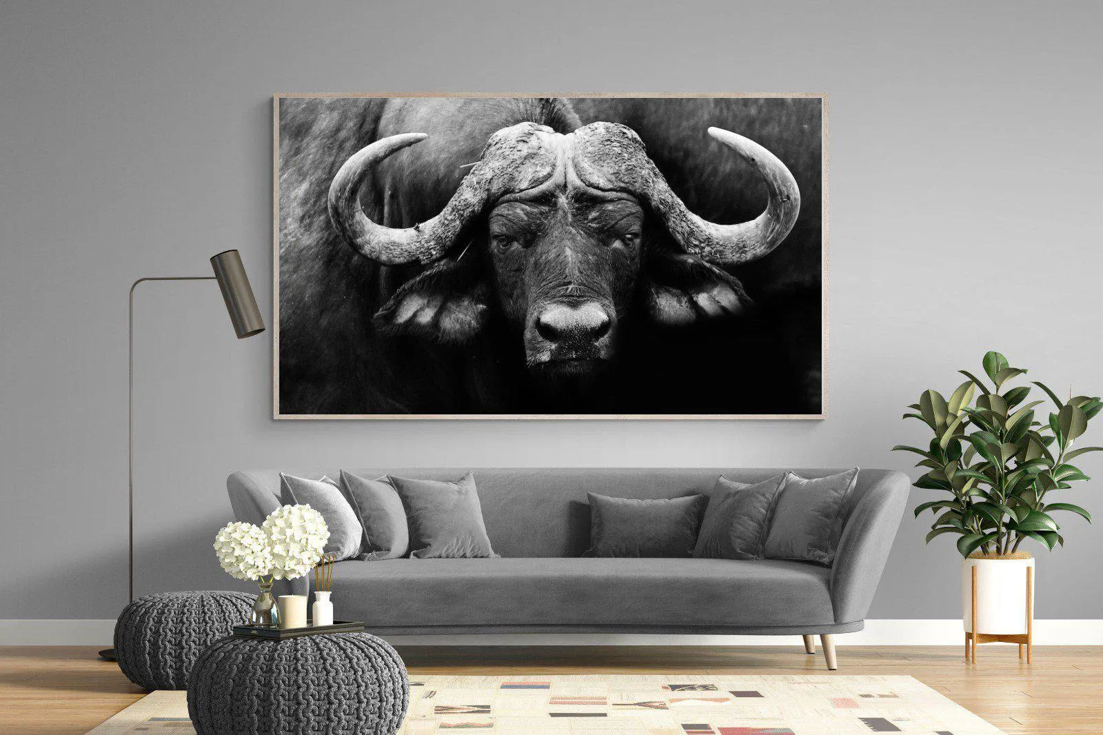 Cape Buffalo