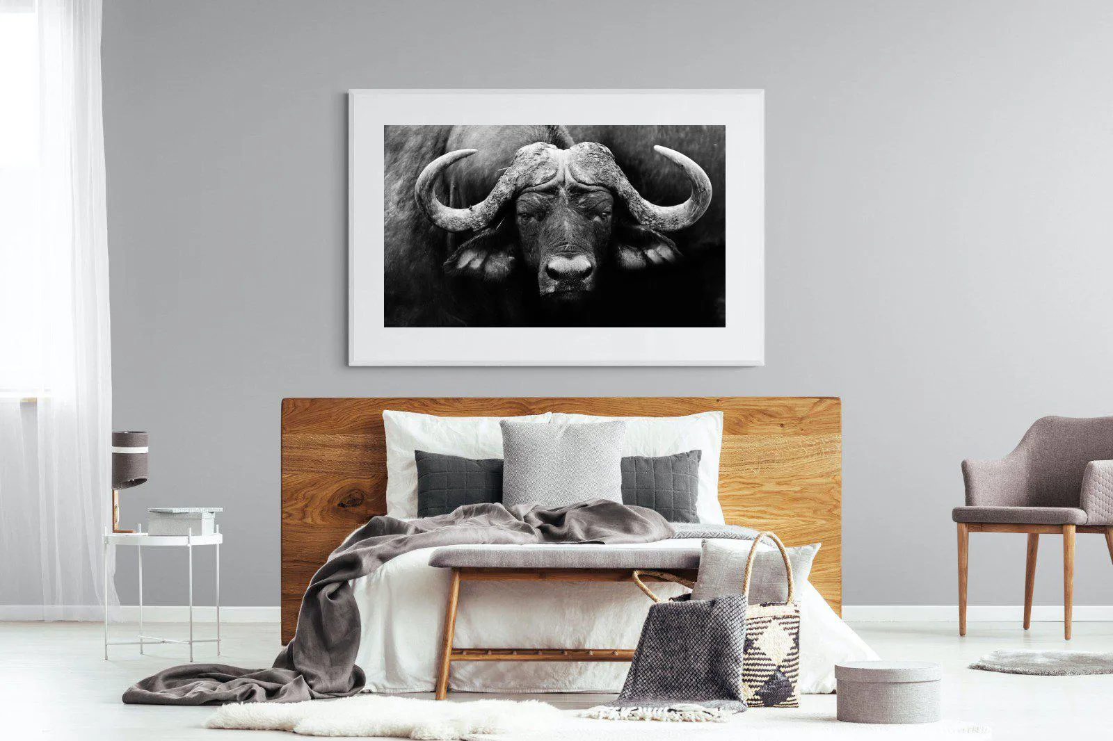 Cape Buffalo