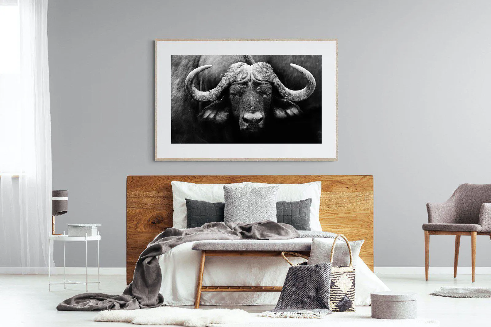 Cape Buffalo