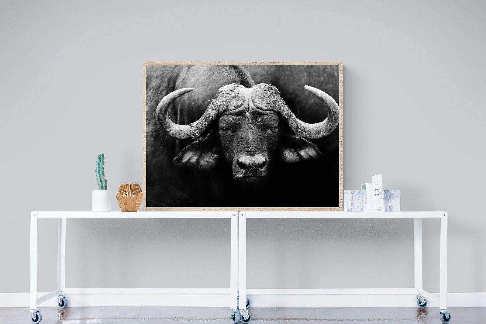 Cape Buffalo