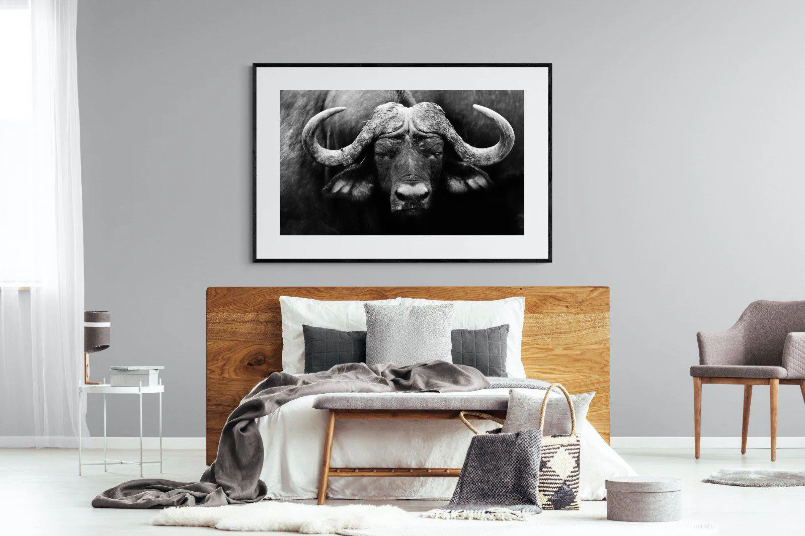 Cape Buffalo