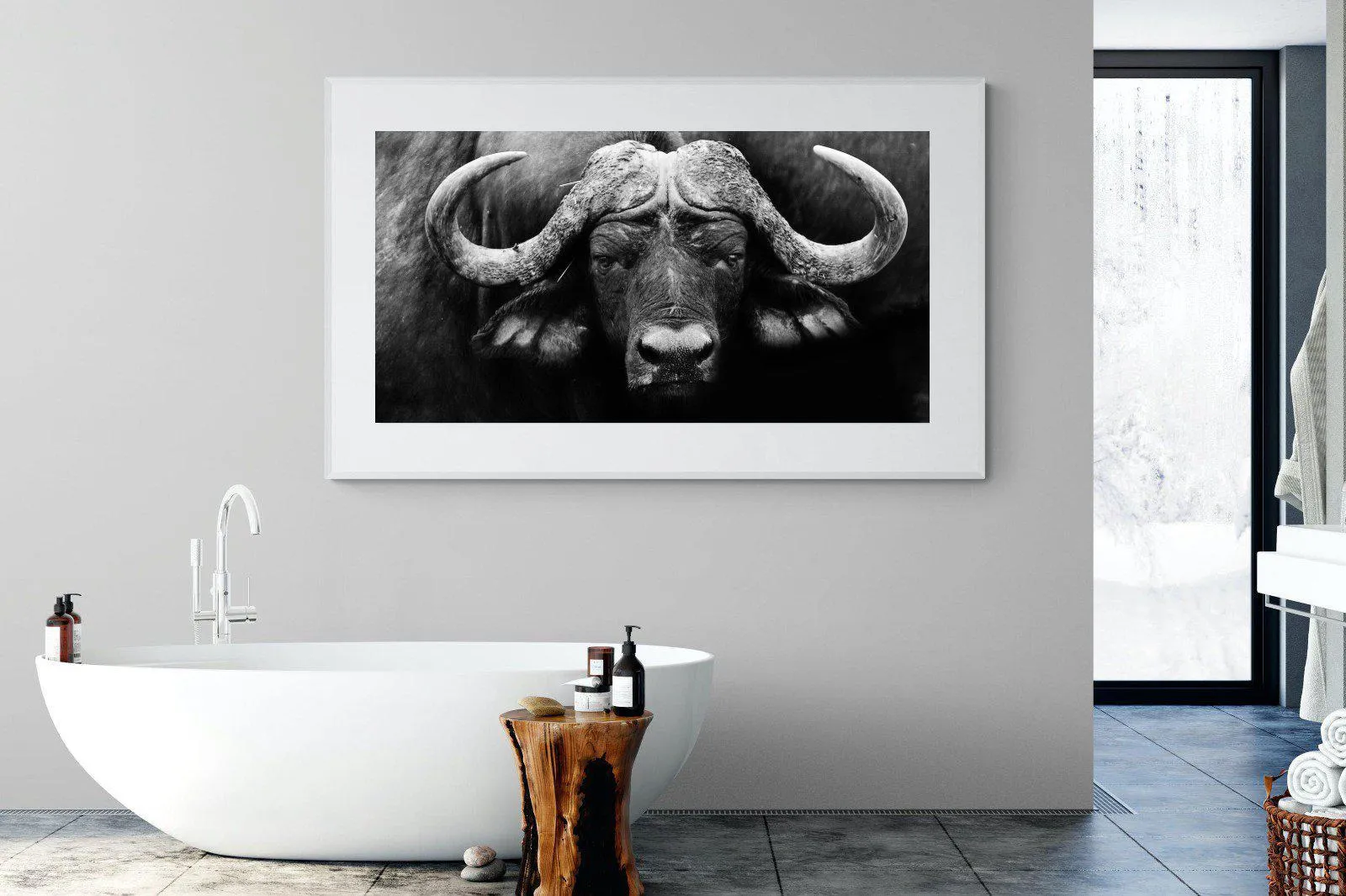 Cape Buffalo