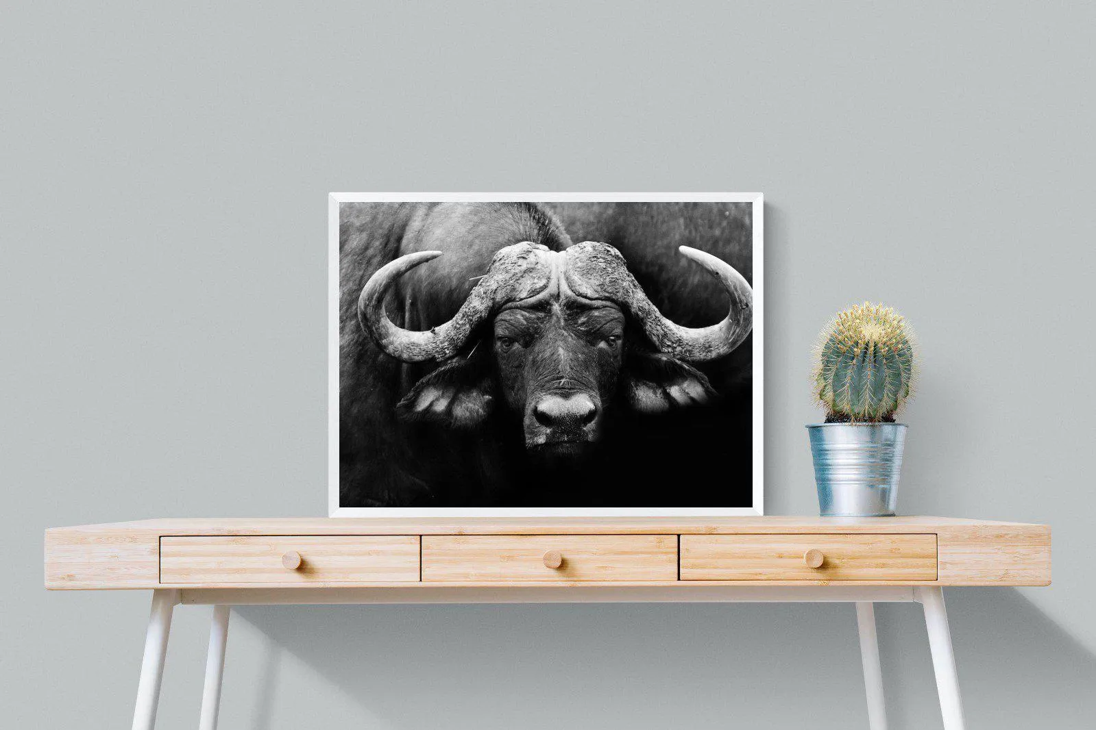 Cape Buffalo