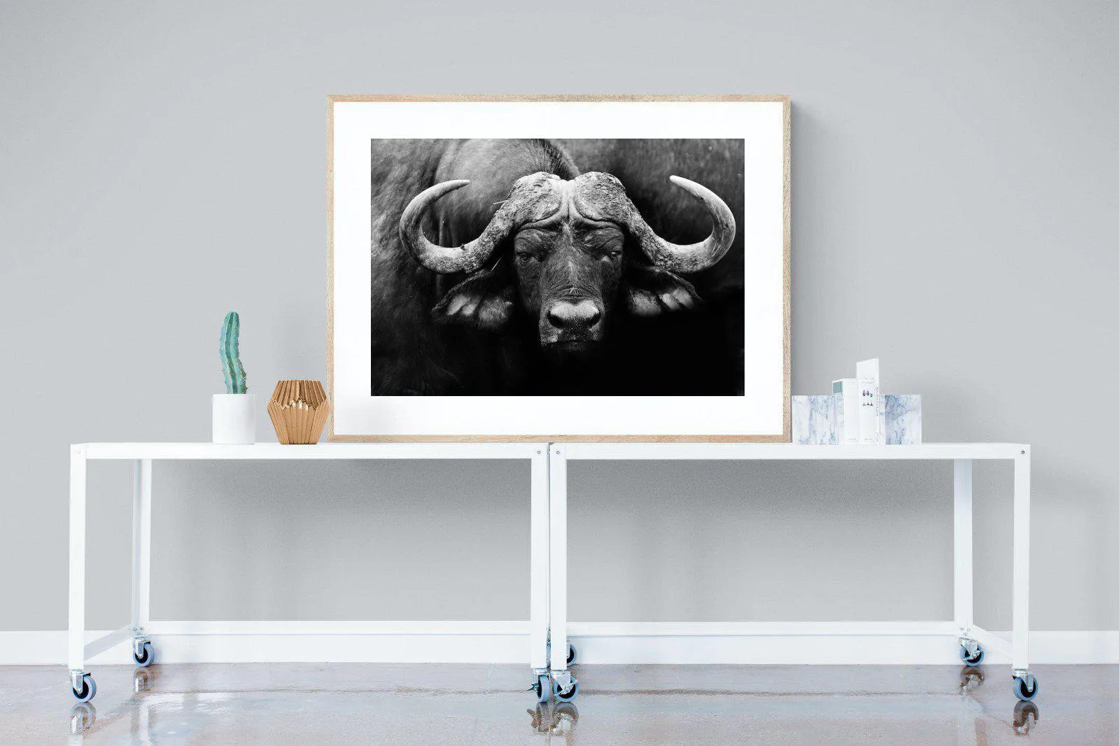 Cape Buffalo