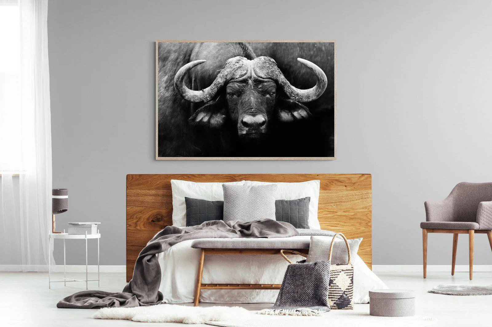 Cape Buffalo