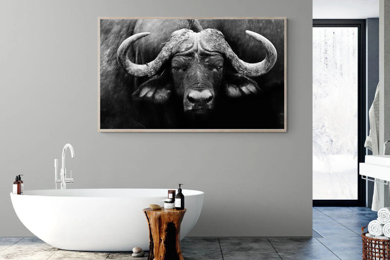 Cape Buffalo