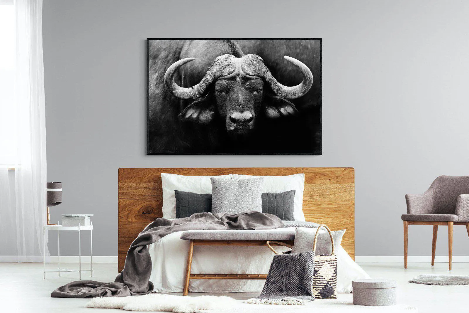 Cape Buffalo