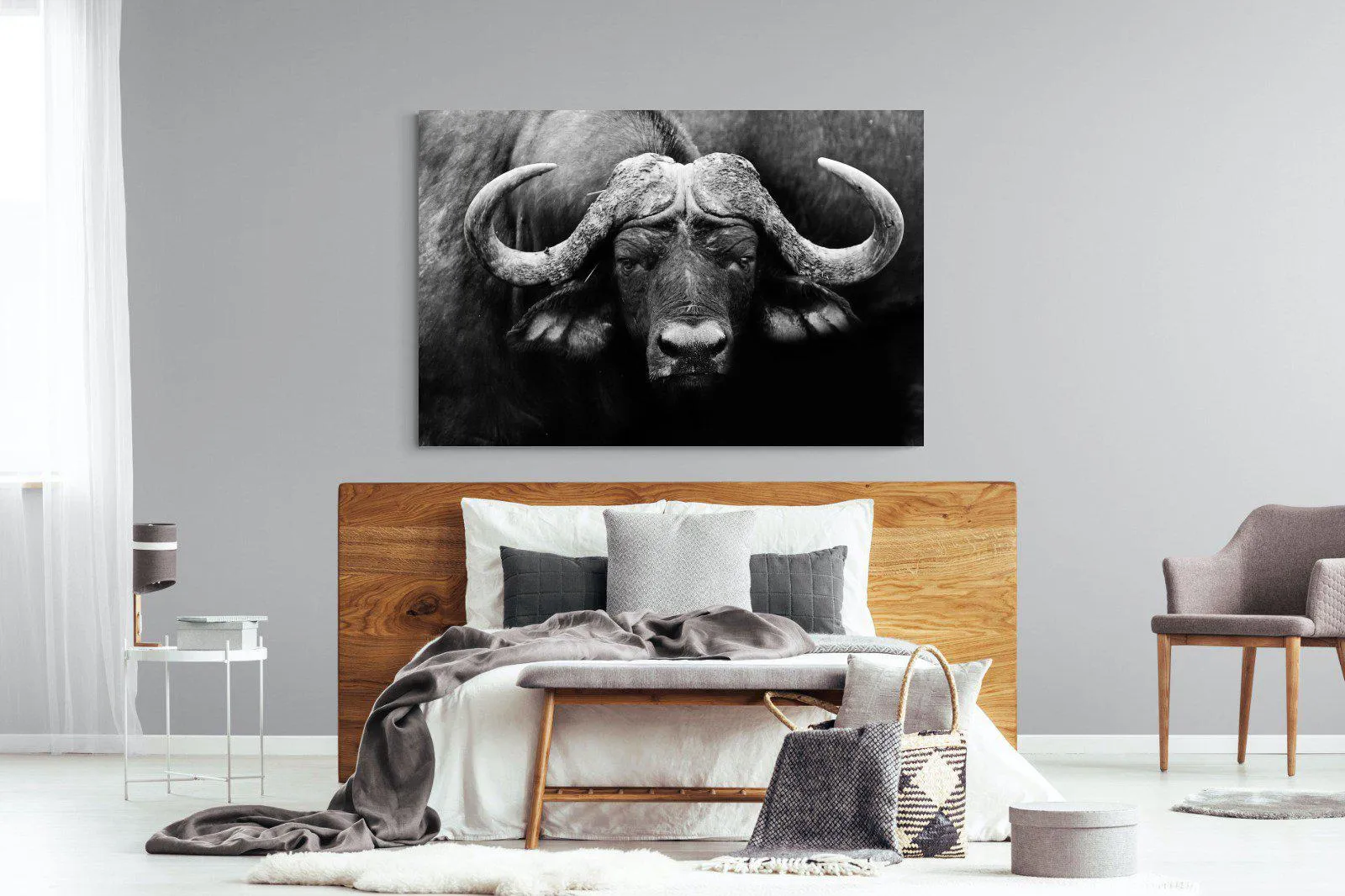 Cape Buffalo