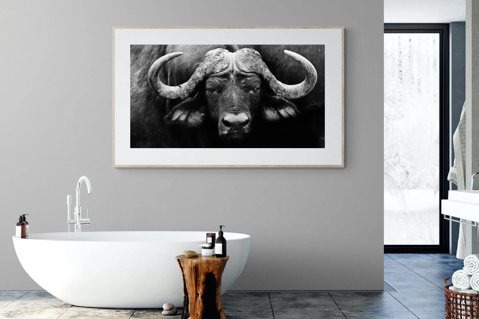 Cape Buffalo