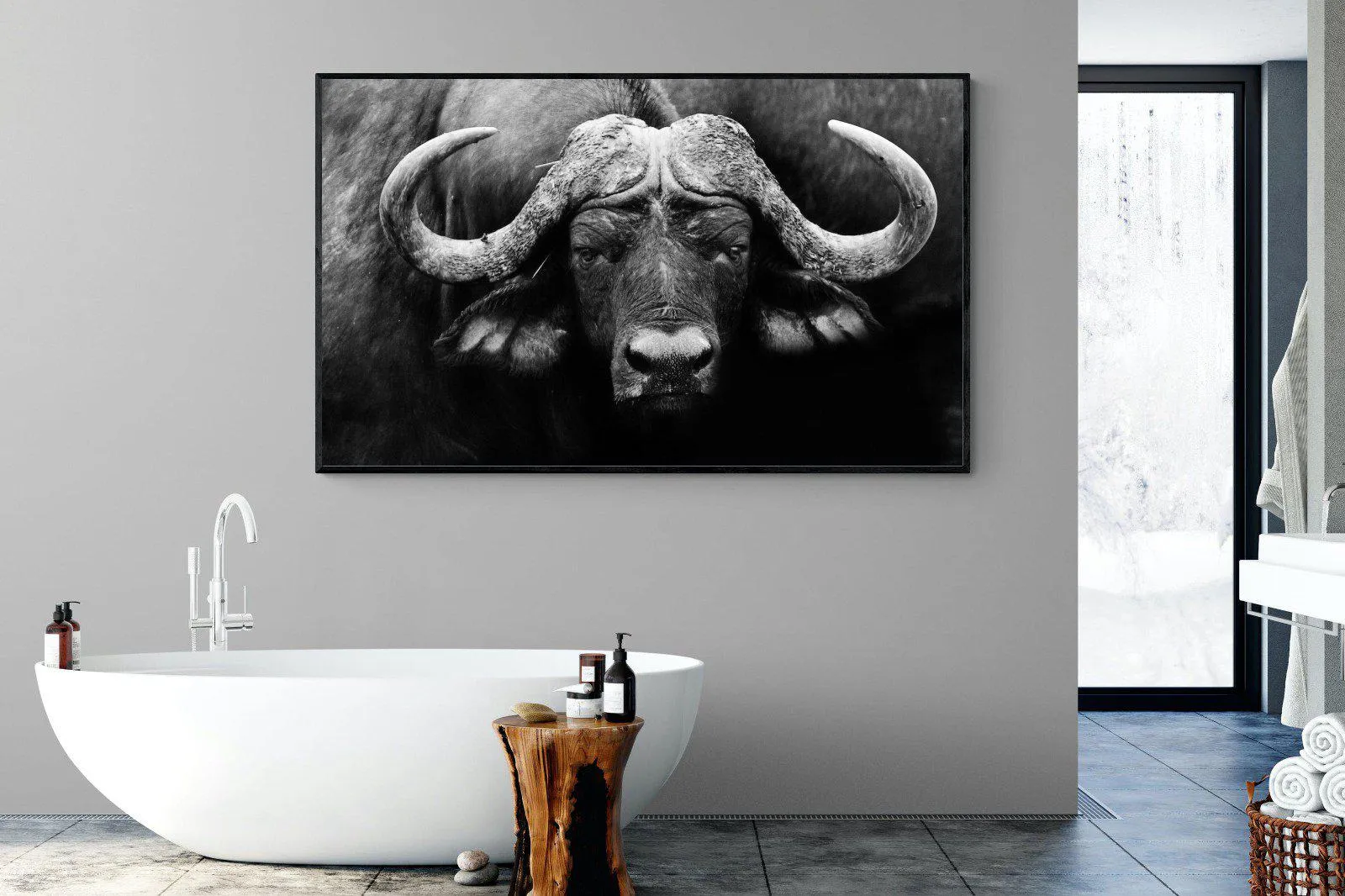 Cape Buffalo