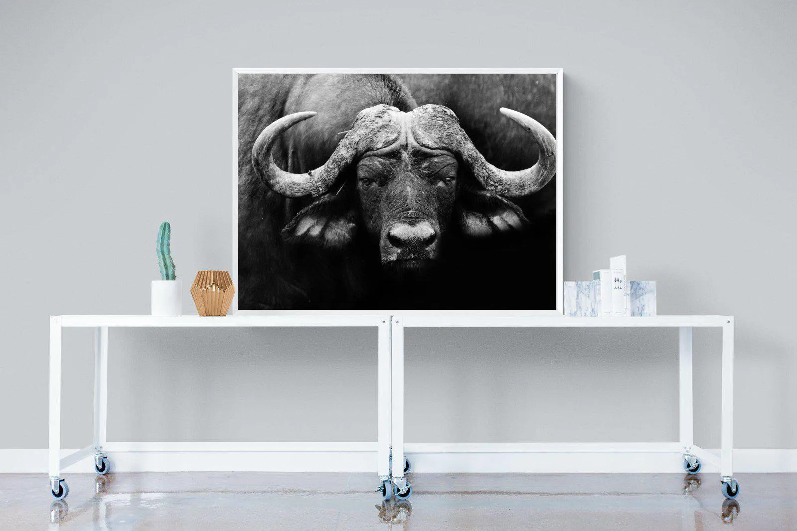 Cape Buffalo