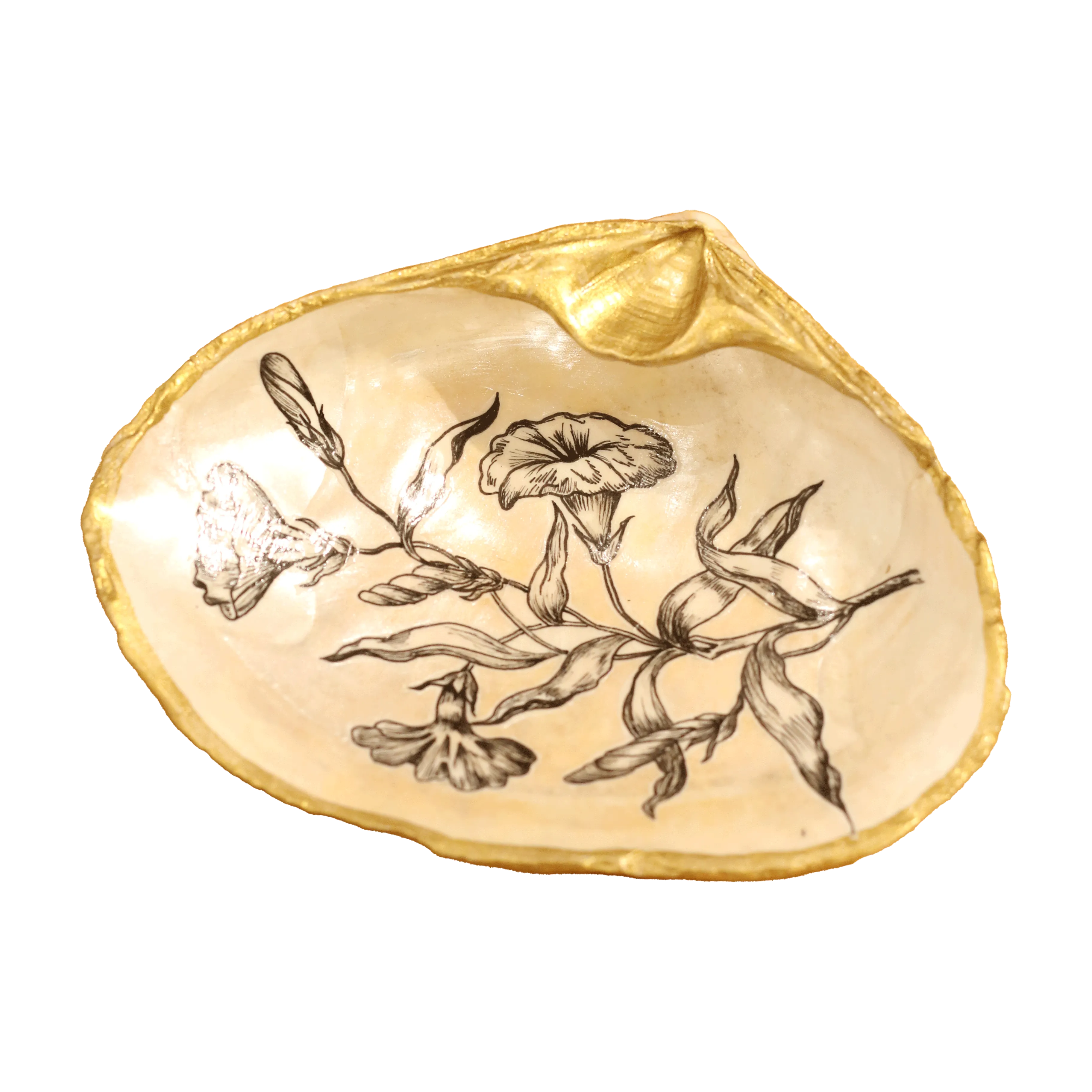 Shell Jewelry Dish